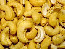 Cashew httpsuploadwikimediaorgwikipediacommonsthu