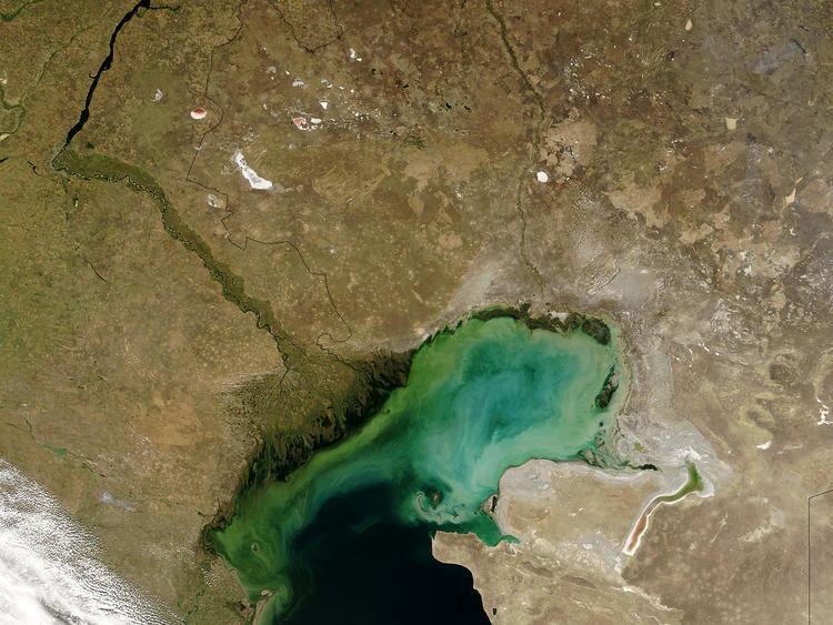 Caspian Depression NASA Visible Earth Sediment in Caspian Sea