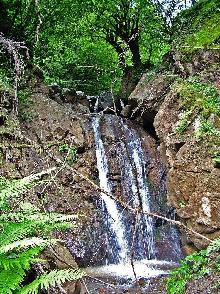 Caspian Hyrcanian mixed forests Panoramio Photo of Waterfall Gilan province The Caspian