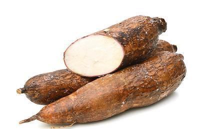 Cassava CASSAVA A SOUTH AMERICAN PLANT THAT FIGHT INFERTILITY AND CANCER