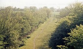 Cassington Halt railway station httpsuploadwikimediaorgwikipediacommonsthu