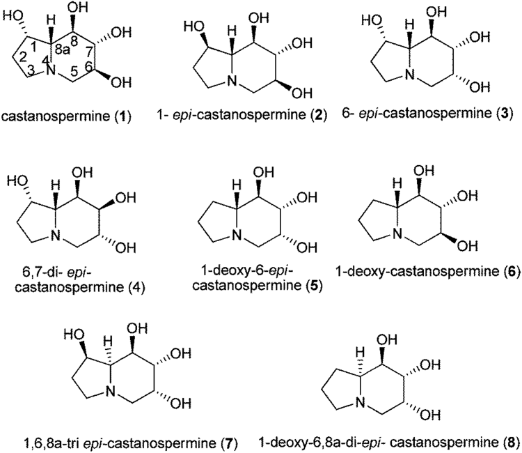 Castanospermine Divergent total synthesis of 168atri epi castanospermine and 1