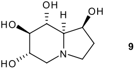 Castanospermine Vinylogous Mukaiyama aldol reactions with 4oxy2