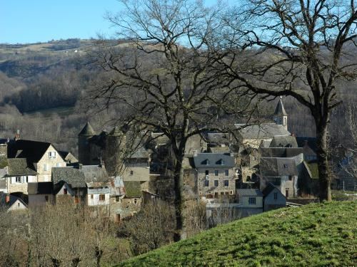 Castelnau-de-Mandailles wwwfrancevoyagecomvisualscommunescastelnaud