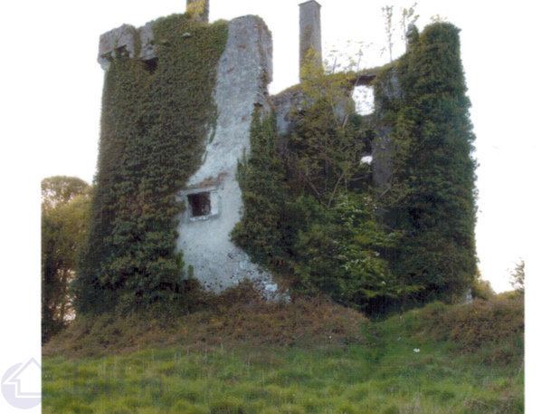 Castle Hackett Investment Property For Sale Castlehackett Castle Belclare Co Galway