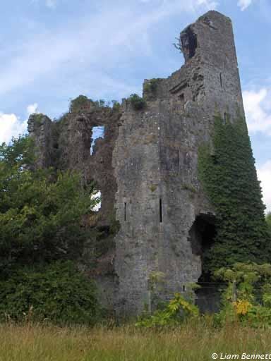 Castletroy irishantiquitiesbravehostcomlimerickcastletroy