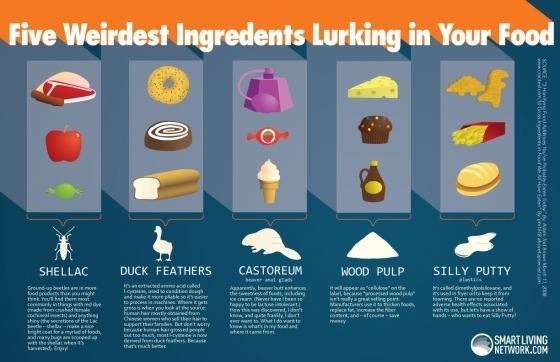 Castoreum The 5 Weirdest Ingredients Lurking in Your Food The Smart Living