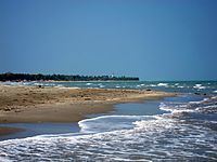 Casuarina Beach httpsuploadwikimediaorgwikipediacommonsthu