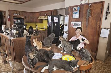 Cat lady 21 Signs You Are Destined To Be A Cat Lady