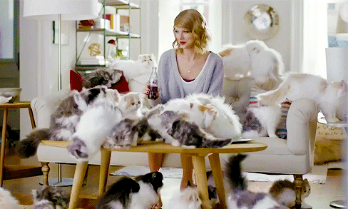 Cat lady 10 Signs You39re A Crazy Cat Lady