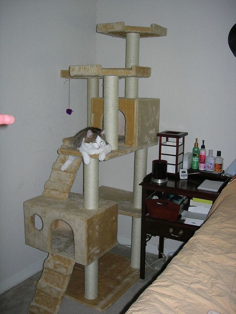 Cat tree