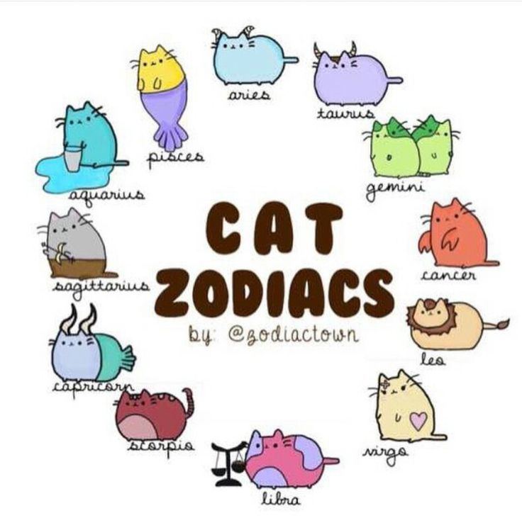 Cat (zodiac) httpssmediacacheak0pinimgcom736xa7afbb