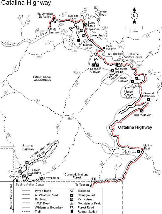 Catalina Highway - Alchetron, The Free Social Encyclopedia