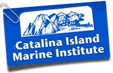 Catalina Island Marine Institute Catalina Island Marine Institute Outdoor Education Outdoor