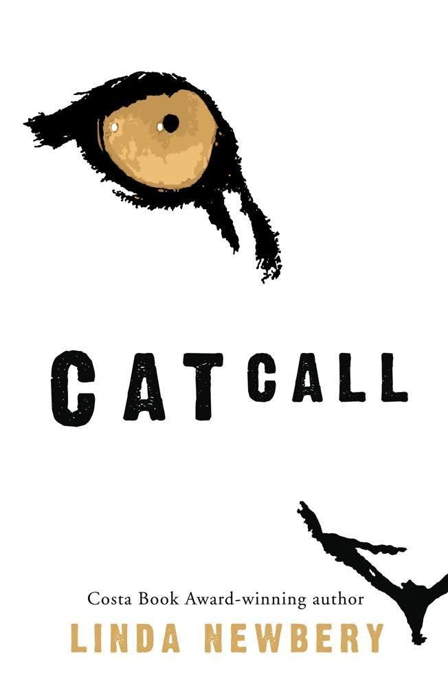 Catcall (novel) t1gstaticcomimagesqtbnANd9GcRTww7o4R2UTA79k
