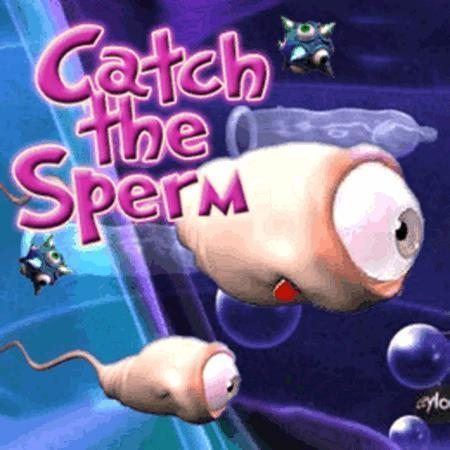 Catch the Sperm httpsuploadwikimediaorgwikipediaru33aCat