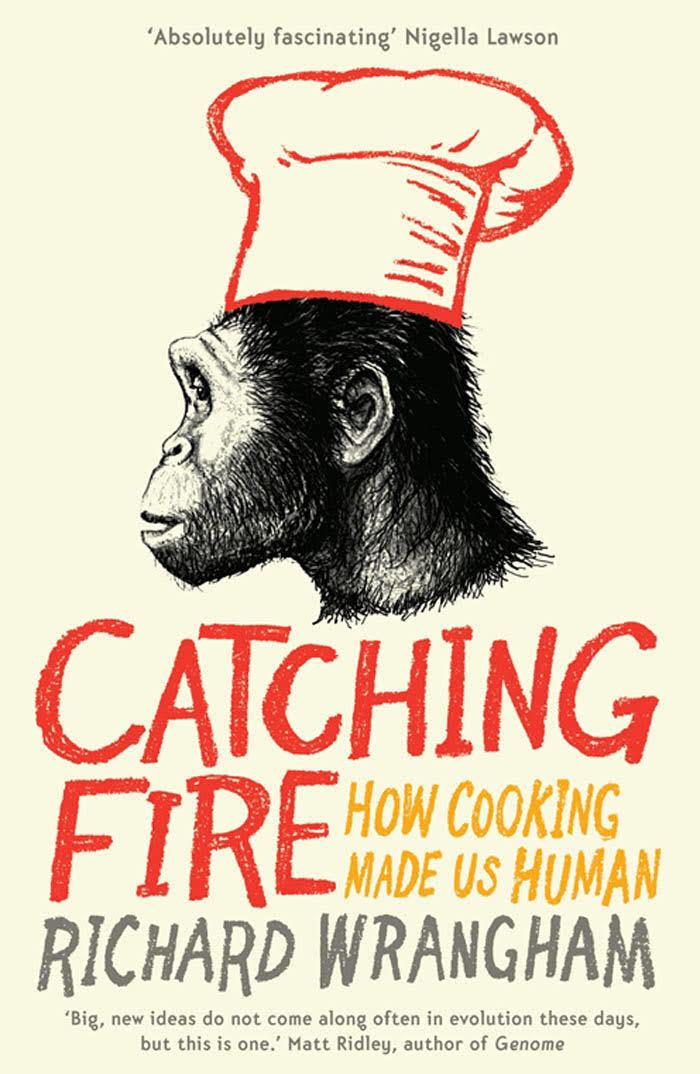 Catching Fire: How Cooking Made Us Human t3gstaticcomimagesqtbnANd9GcSXnNiWv329nDWnrT