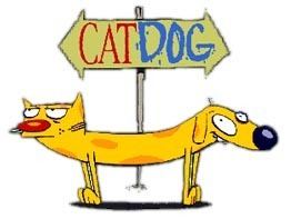 CatDog CatDog Wikipedia