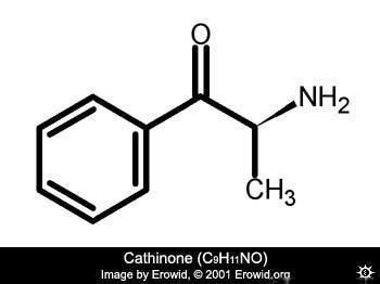 Cathinone Cathinone
