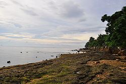 Catmon, Cebu httpsuploadwikimediaorgwikipediacommonsthu