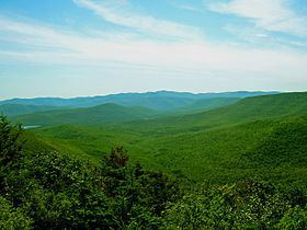 Catskill Mountains httpsuploadwikimediaorgwikipediacommonsthu