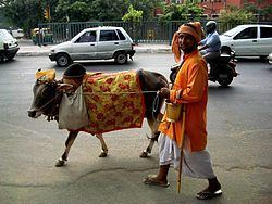 Cattle in religion and mythology httpsuploadwikimediaorgwikipediacommonsthu