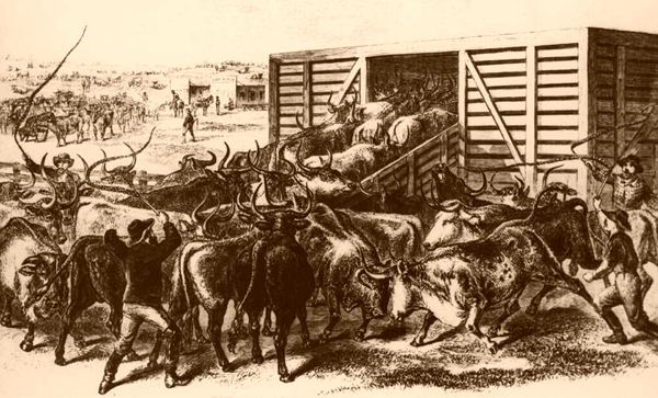 Cattle towns Cowboys Lawmen and the American Frontier US COW TOWNS and