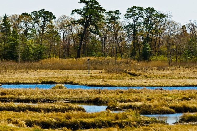 Cattus Island Park Cattus Island County Park