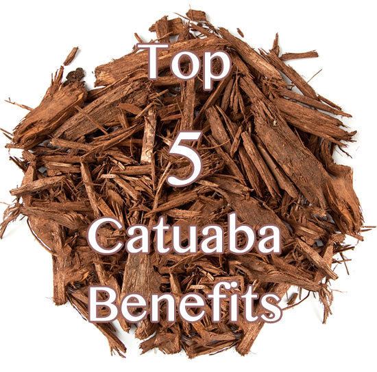 Catuaba Top 8 Catuaba Benefits Healthy Focus
