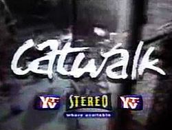 Catwalk (TV series) Catwalk TV series Wikipedia