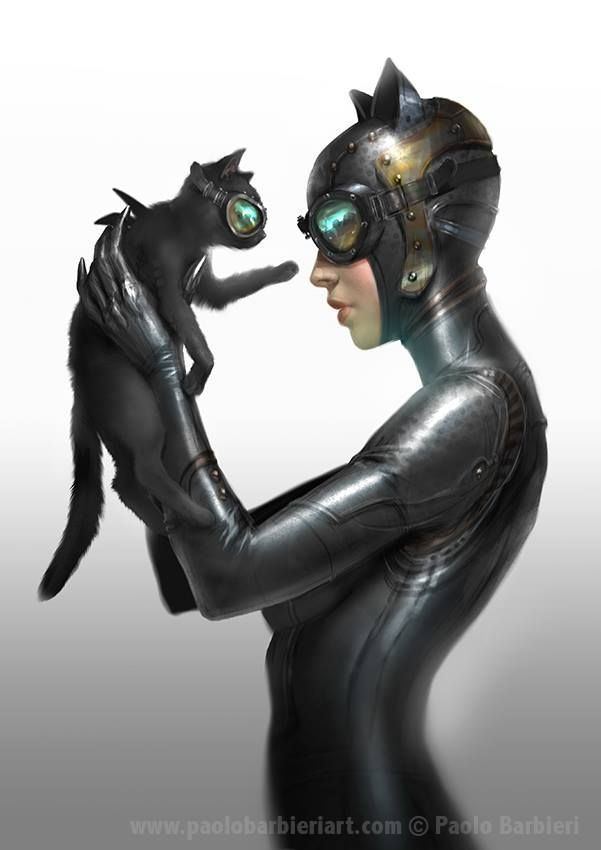 Catwoman 1000 ideas about Catwoman on Pinterest Batman Batman and