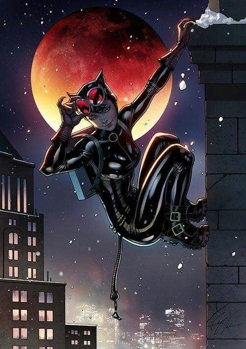 Catwoman 1000 ideas about Catwoman on Pinterest Batman Batman and