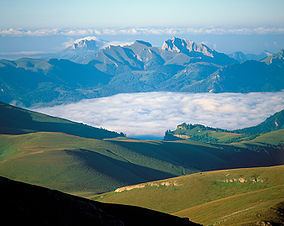 Caucasus Nature Reserve httpsuploadwikimediaorgwikipediacommonsthu