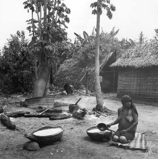 Cauim BLOG do NETUNO O Cauim na vida dos indigenas brasileiros