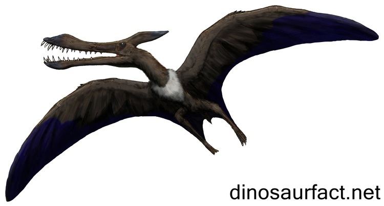 Caulkicephalus Caulkicephalus dinosaur