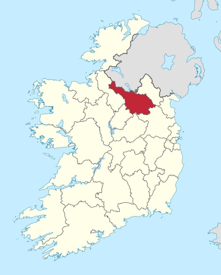 Cavan County Council election, 2004
