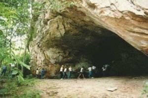 Caverna da Pedra Pintada El Dorado Singing to the Plants