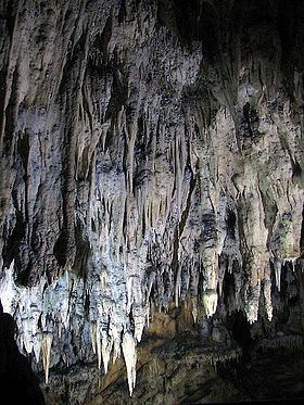 Caves of Barać httpsuploadwikimediaorgwikipediacommonsthu