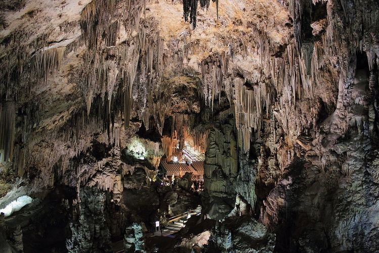 Caves of Nerja