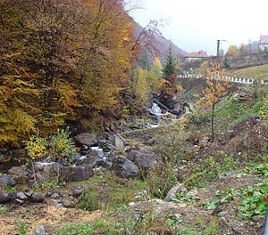 Cavnic River httpsuploadwikimediaorgwikipediacommonsthu