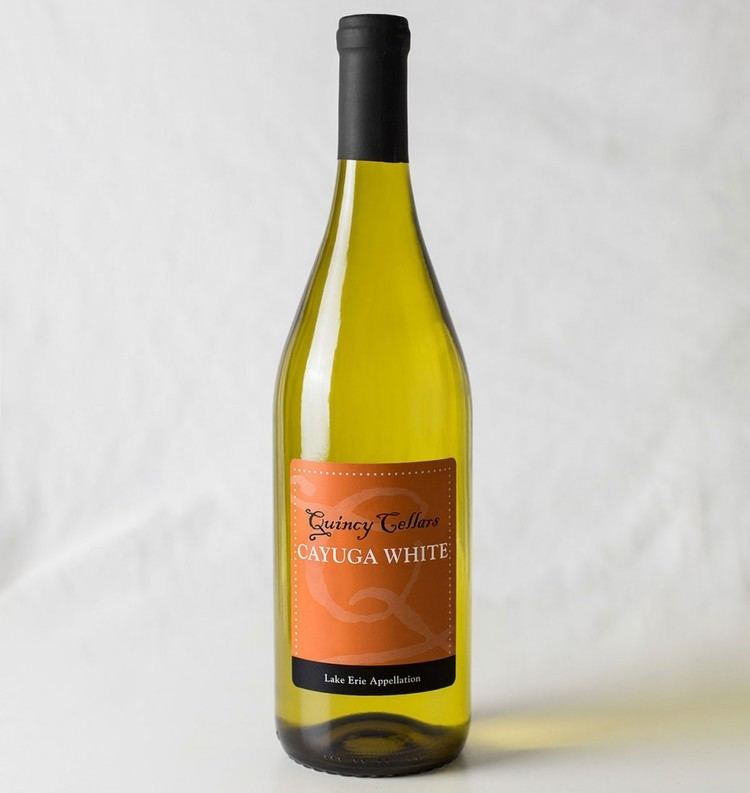 Cayuga White Our Wines Quincy CellarsQuincy Cellars
