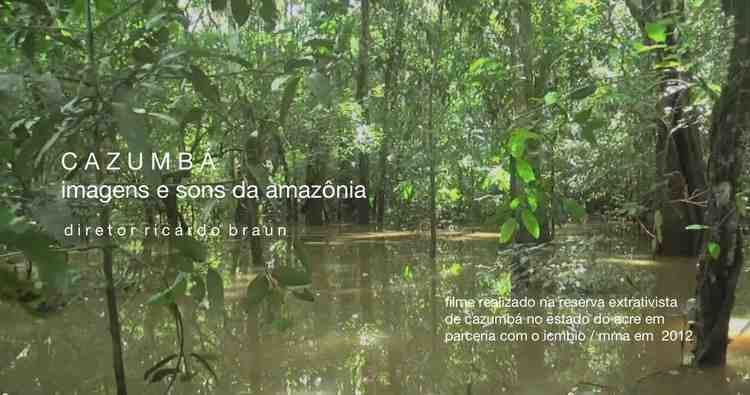 Cazumbá-Iracema Extractive Reserve httpsricbraunfileswordpresscom201005cazum