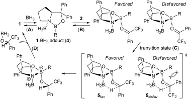 CBS catalyst Rational electronic tuning of CBS catalyst for highly