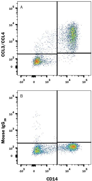 CCL3 Human CCL3MIP1 alpha Fluoresceinconjugated Antibody IC2701F RampD