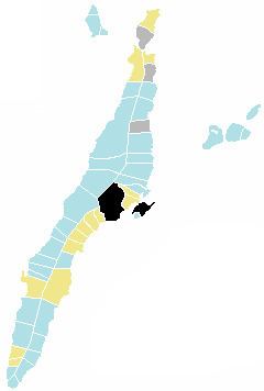 Cebu local elections, 2010