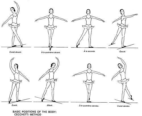 Cecchetti method Positions of the body Cecchetti Method dance Pinterest The