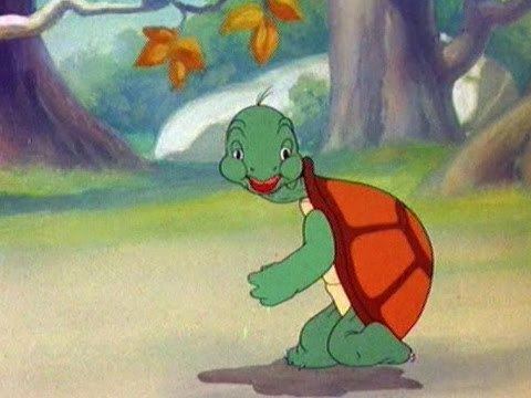 Cecil Turtle 75 Years of Cecil Turtle YouTube