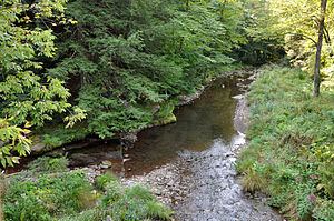 Cedar Run (Pennsylvania) httpsuploadwikimediaorgwikipediacommonsthu