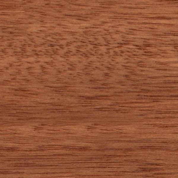 Cedar wood Cedar wood fine medium color texture seamless 04491