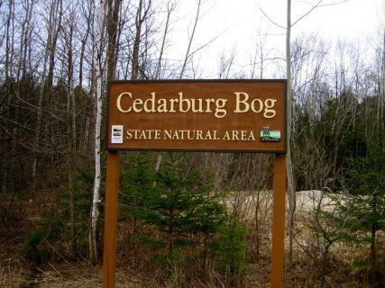 Cedarburg Bog Cedarburg Bog State Natural Area Recreation Saukville Wisconsin
